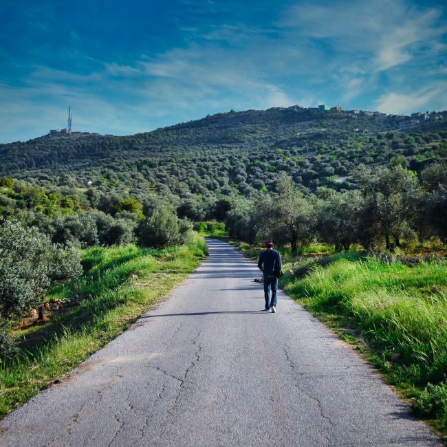 A person walks down a deserted rural road