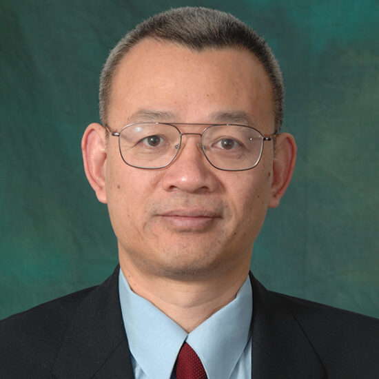 Director, Angiogenesis Research Laboratory