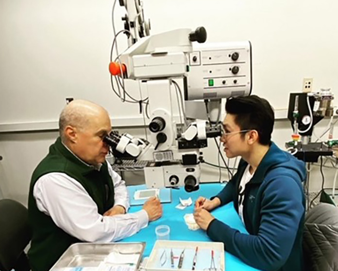 Doctor and resident looking at the microscope