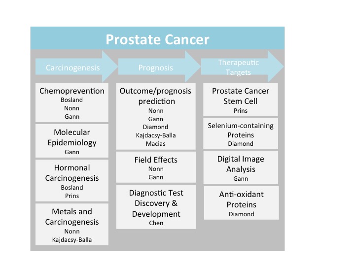 Prostate cancer chart