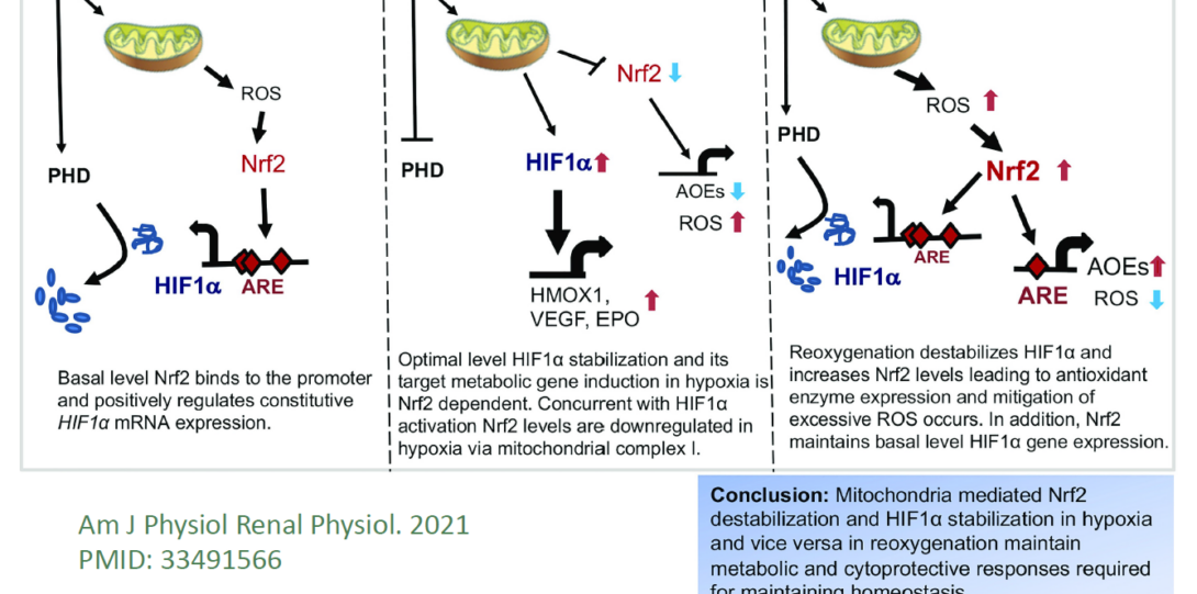 Scientific visualizations with text explaining