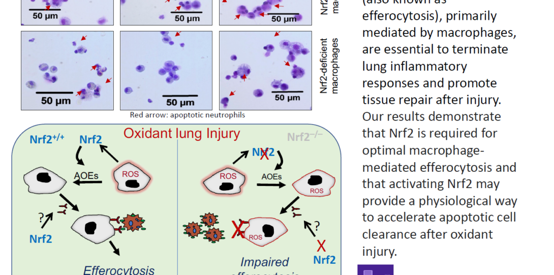 Two sets of data visualizations with text explaining.