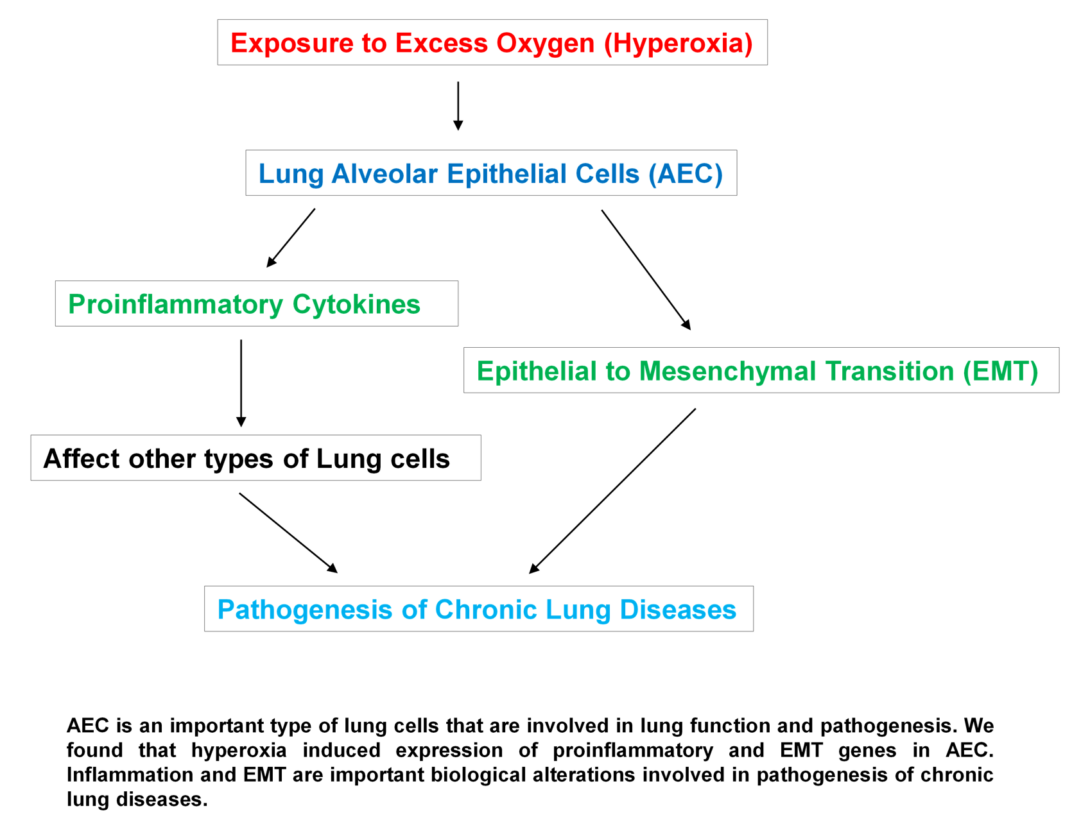 A web visualization titled connecting various factors leading to Pathogenesis of Chronic Lung Disease