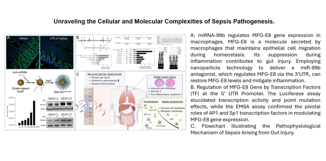 Unraveling the Cellular and Molecular Complexities of Sepsis Pathogenesis