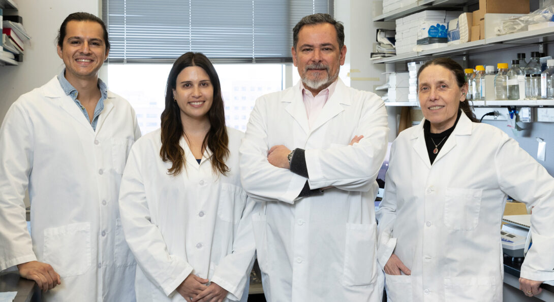 (From left) Diego Zelada Varas, PhD,  Natalia Saldivia Soto, PhD, Ernesto R. Bongarzone, PhD, and Maria Irene Givogri, PhD, of the Dr. Bongarzone lab.
