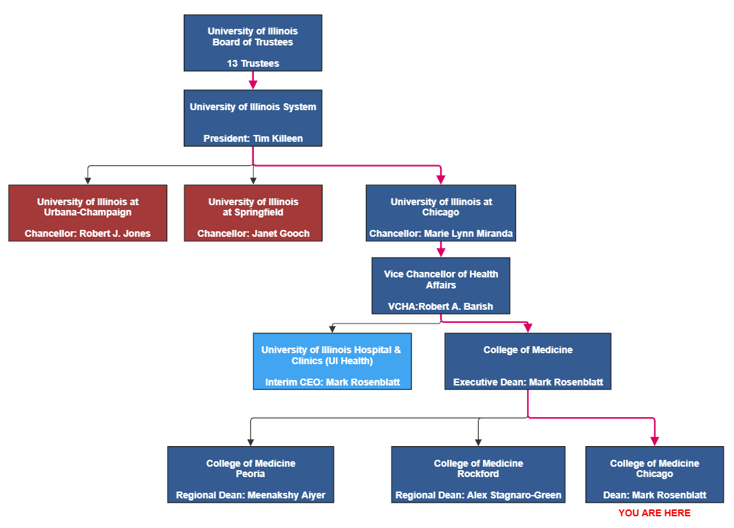 Chicago campus ORg Structure