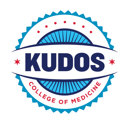 Kudos logo